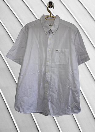 Чоловіча бузкова сорочка lacoste 2xl xxl 54 56 оригінал лакост бавовняна сорочка з коротким рукавом з крокодилом 54 56