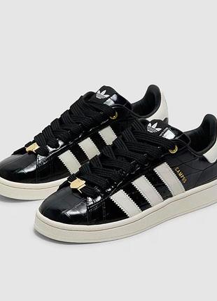 Кросівки adidas & pare campus original