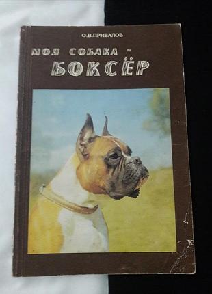 Продам книгу в доброму стані!