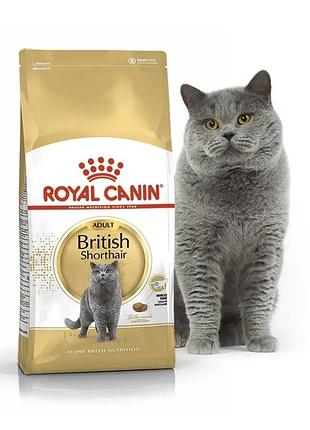 Сухий корм royal canin british shorthair adult, розроблений спеціально для дорослих кішок породи британська короткошерста.