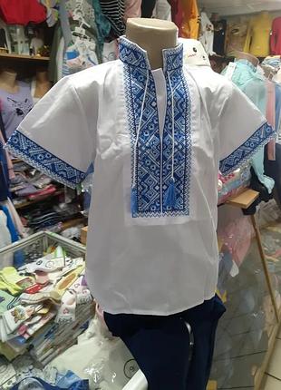 Сорочка вишиванка для хлопчика бавовна з кутасиками школа 134 140 146 152 146, короткий, білий