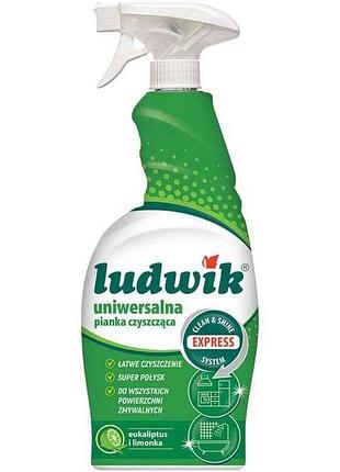Пена-спрей очищающая универсальная 750мл express system тм ludwik