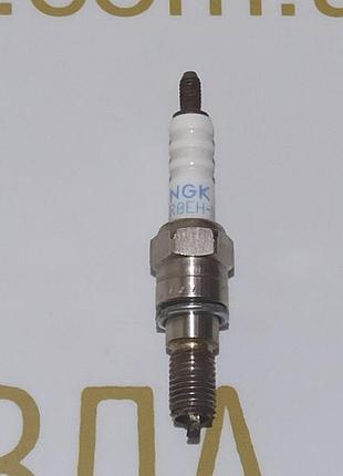 Свічка ngk er8eh-n honda dio af-63/td02 ffi japan