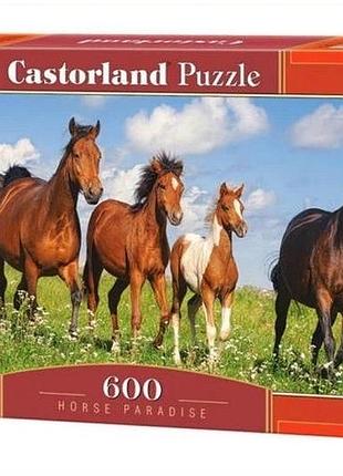 Пазлы castorland пазлы коні, b-060351, 600 элементов