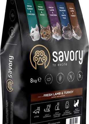 Сухий корм для котів класу холістик бренду savory, зокрема лінійка adult cat sensitive digestion зі смаком ягняти та індички.