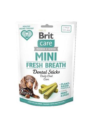 Функциональные лакомства brit care mini fresh breath для ухода за полостью рта собак малых пород. брит кеа дентал