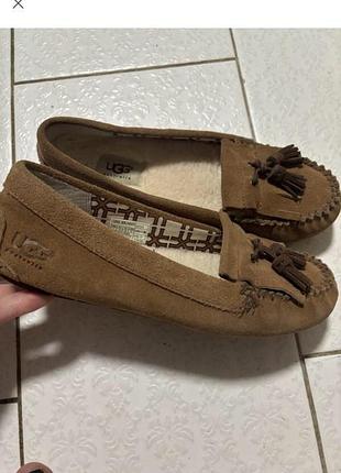 Жіночі лофери, утеплені, оригінальні ugg