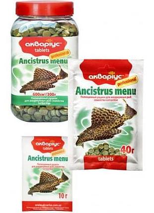 Аквариус меню для анциструсов 40 г