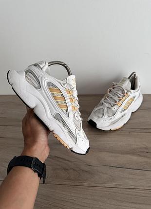 Кросівки adidas оригінал