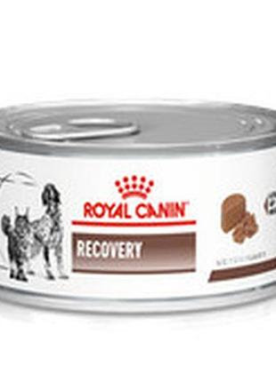 Royal canin recovery (роял канин рекатери) консервы для собак и кошек 195 г 195г
