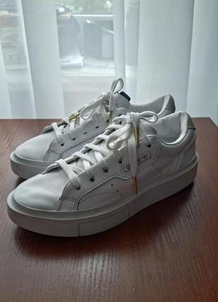 Кросівки шкіра adidas