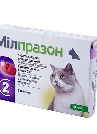Ветеринарный препарат milprazon (милпразон) компании krka, предназначенный для лечения и профилактики гельминтозов у котов весом более 2 кг. милпразон