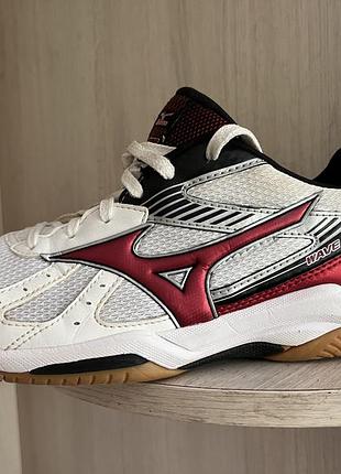 Кросівки 43 розмір mizuno