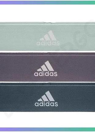 Набір еспандерів adidas resistance band set l m h зелений фіолетовий темно-синій для фітнесу та тренув sku_adtb-10711