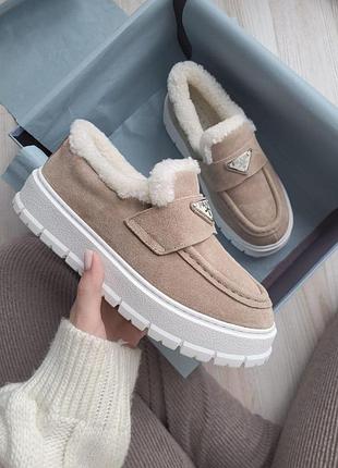 Бежеві жіночі черевики prada suede loafers shearling beige winter fur x прада 38