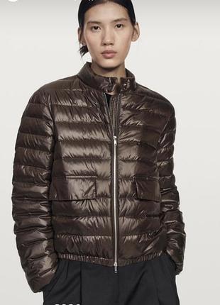 Нова шоколадна куртка massimo dutti m