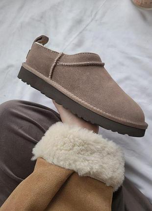 Жіночі бежеві сліпперс ugg micro boot cocoa х мікро бут 36