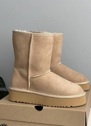 Бежеві уггі унісекс ugg short platform beige х угг шорт 36