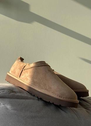 Жіночі бежеві сліпперс ugg classic micro rocky oak beige х мікро 36