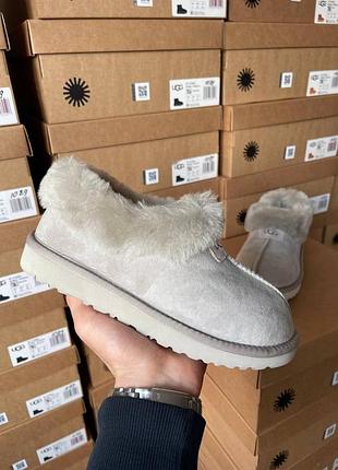 Жіночі сірі черевики ugg coquette grey х угг 36