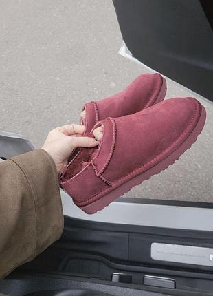 Жіночі рожеві сліпперс ugg classic micro boot burgundy red х мікро бут 36