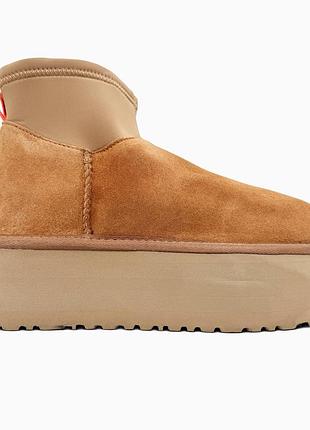 Жіночі бежеві черевики ugg classic mini dipper boots low chestnut х діппер 36