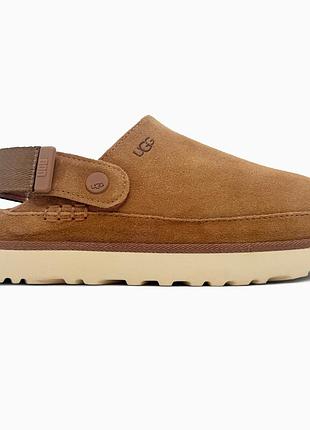 Жіночі бежеві сліпперс ugg goldenstar clog chestnut beige х клог 36