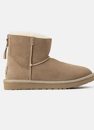 Бежеві жіночі уггі ugg mini chestnut zip х угг міні 36