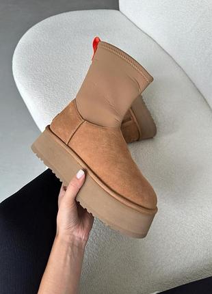 Жіночі бежеві черевики ugg classic dipper boots chestnut х діппер 36