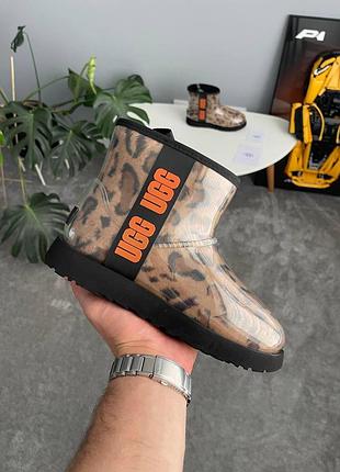 Леопардові жіночі уггі ugg clear mini boot leopard х угг міні 36