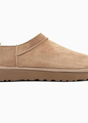 Жіночі бежеві сліпперс ugg micro boot beige х мікро бут 36