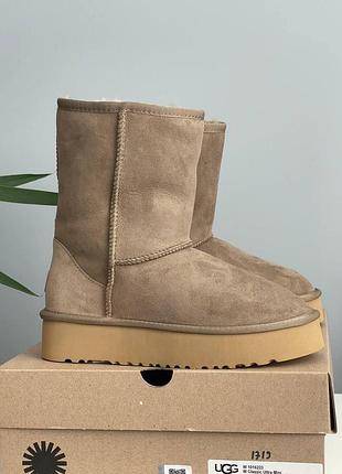 Бежеві уггі унісекс ugg short platform beige khaki х угг шорт 36