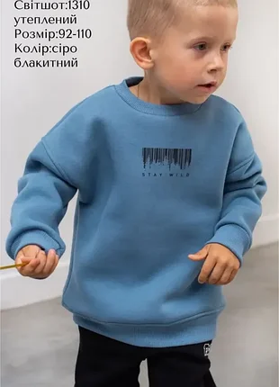 Флис. детский свитшот утеплен для мальчиков. 92-110 hart