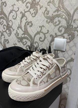 Кеди coach