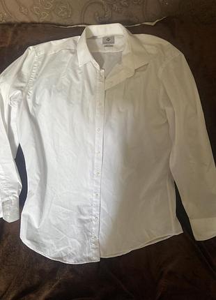 Біла чоловіча сорочка marco renci slim fit 3xl (80% бавовна)