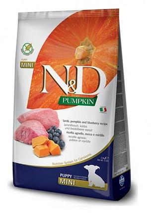 Farmina n&d pumpkin grain free puppy mini lamb & blueberry фарміна для цуценят малих порід беззернова ягня лохина