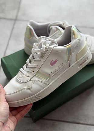 Кеди lacoste оригінал