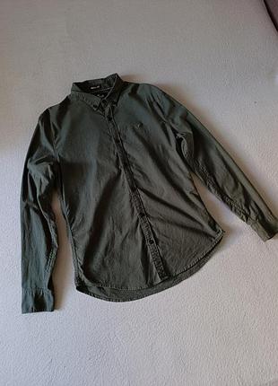Чоловіча сорочка hollister
