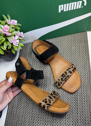 Оригинальные кожаные босоножки ugg леопард