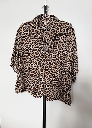 Леопардова сорочка h&m