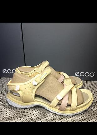 Шкіряні жіночі босоніжки ecco offroad roam w 853303 61248