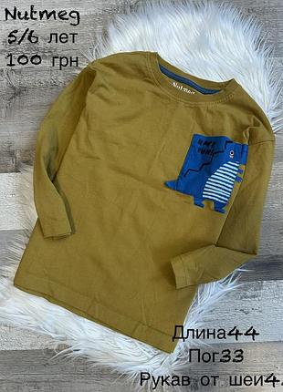 Реглан 5/6 років