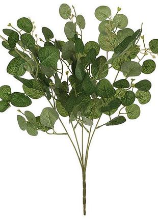 Букет евкаліпта популус (populus) h54см
