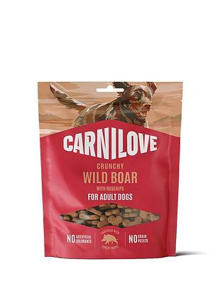 Лакомство carnilove crunchy snack wild boar with rosehips для собак хрустящий дикий кабан и шиповник 200 г лакомства для дрессировки