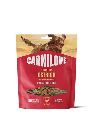 Лакомство carnilove crunchy snack ostrich with blackberries для собак хрустящие страус и ежевика 200 лакомства для дрессировки
