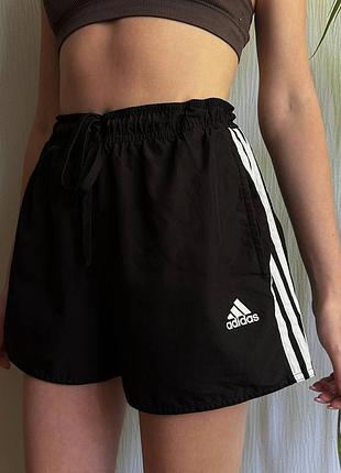 Шорты adidas