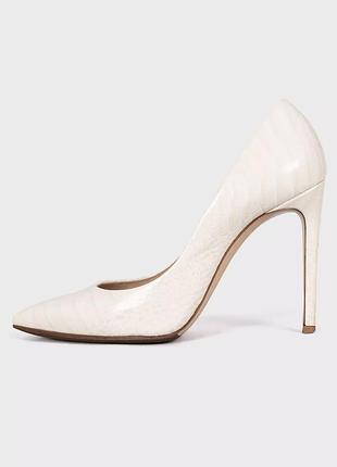Туфлі-лодочки casadei
