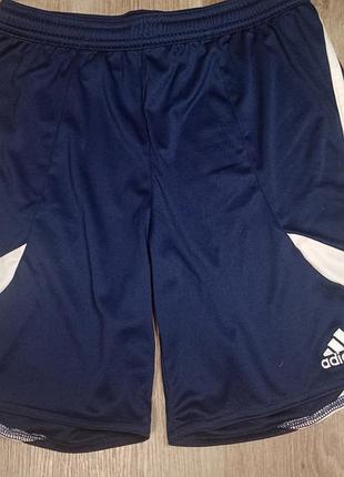 Чоловічі шорти adidas сині