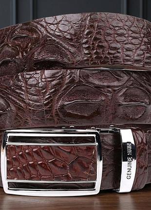 Ремень-автомат crocodile leather 18240 из натуральной кожи крокодила коричневый