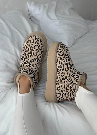 Леопардові замшеві уггі ugg ultra mini platform beige leopard suede х угг ультра міні 41